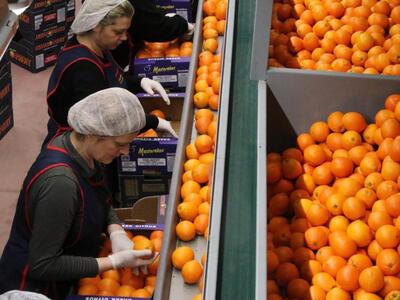 Πάτρα: Εκδήλωση για το εργασιακό άγχος