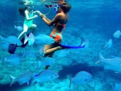 Πως αναγνωρίζουμε την καθαρή θάλασσα;