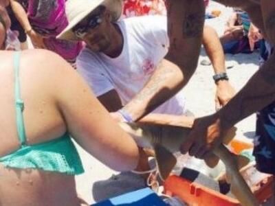 Στο νοσοκομείο με τον καρχαρία γαντζωμέν...