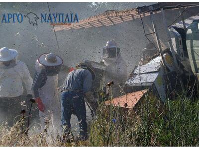 Γέμισε μέλισσες  το Μοναστηράκι Άργους μ...