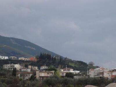 Πάτρα: Την Παρασκευή η 2η έκθεση Αγροτο-...