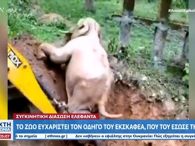 Συγκινητική διάσωση ελέφαντα