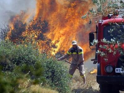 Πάτρα: Ένα στρέμμα καλαμιές έκαψε η φωτι...