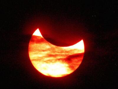 Ήλιος + Βακτήρια = Υγρό καύσιμο