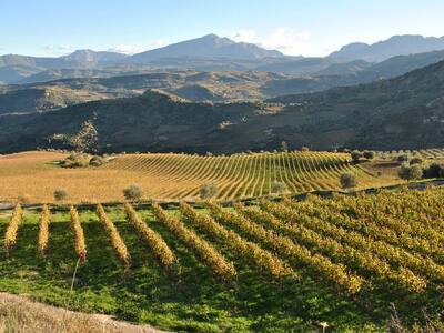 Δήμος Αιγιάλειας: Όλη η αλήθεια για τον ...