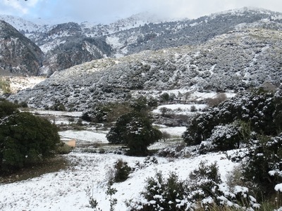 Φλας στο κατάλευκο και παγωμένο Παναχαϊκ...
