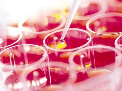 Αυξήθηκαν τα κονδύλια για έρευνα και ανά...