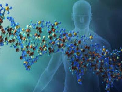 Η λειτουργία των γονιδίων αλλάζει ανάλογ...