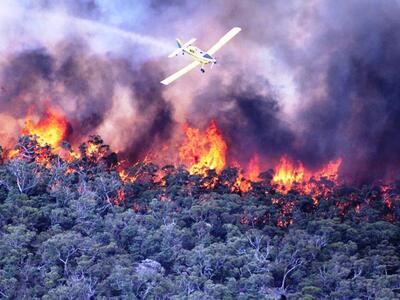 Χριστούγεννα με καταστροφικές πυρκαγιές ...