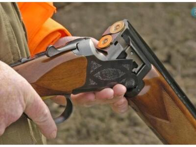 79χρονος πυροβόλησε με καραμπίνα και σκότωσε σκύλο