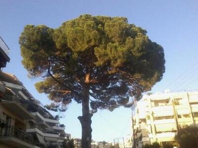 Πάτρα: Κλήση από τον Ανακριτή για το πεύ...