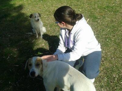 Το pet sitting έφτασε στην Πάτρα- Όσα μά...