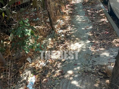 Πάτρα: Δρόμοι γεμάτοι φύλλα και βρωμιές ...