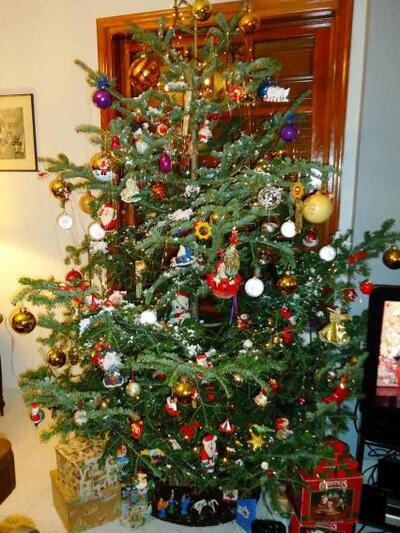 Επιμένει σε αληθινό έλατο η Μαριάννα Ντο...