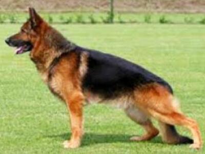 ΜΟΝΟ ΣΤΟ THEBEST.GR- Πάτρα: Άγνωστος έρι...