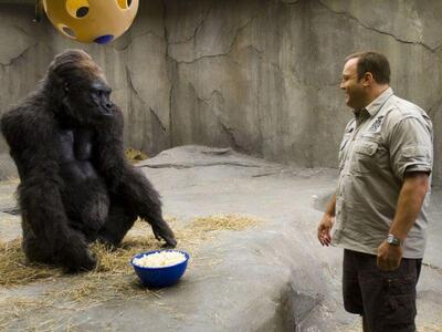 Ο Κέβιν Τζέιμς επιστάτης ζωολογικού κήπου