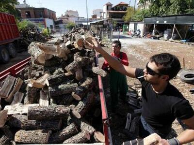 Αγρίνιο: Το 'σκασε λαθροϋλοτόμος 