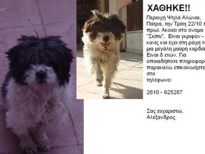 Πάτρα: Ο Αλέξανδρος ψάχνει εναγωνίως την...