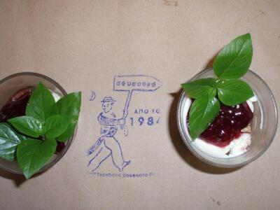 Το Γλυκο μας... Τσιζ κεικ!