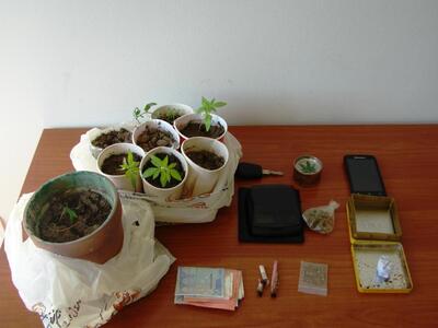 Συνελήφθη 43χρονος καλλιεργητής ινδικής ...