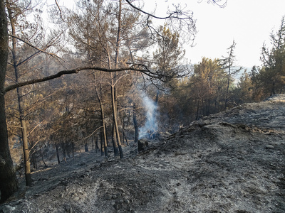Ρόδος: Τέθηκε υπό έλεγχο η αναζωπύρωση σ...