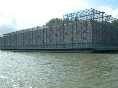 Πάτρα: Ξανά στο τραπέζι η λύση του πλωτο...