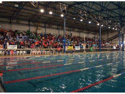 Κολύμβηση: Μετάλλια και διακρίσεις για τ...