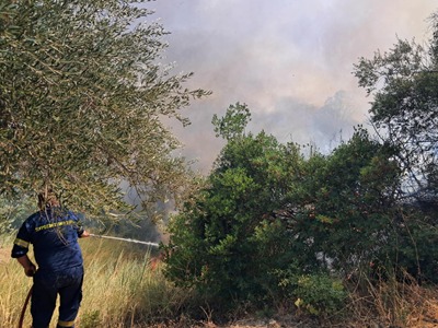 Εφημερίδα "Φιλόδημος" Αιγίου