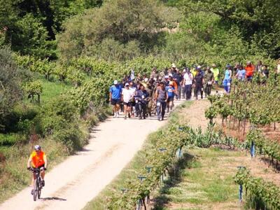 Αρχαία Ολυμπία: Στις 14  Μαΐου ο Δρόμος ...