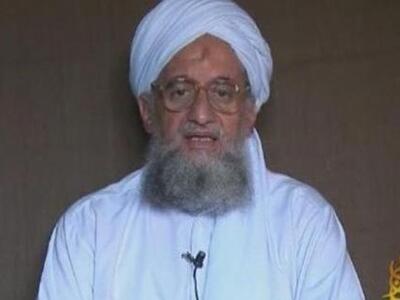 Νέο παρακλάδι στην ινδική υποήπειρο ανακ...