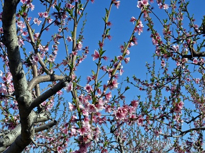 Ο καιρός τη Μεγάλη Εβδομάδα και το Πάσχα...