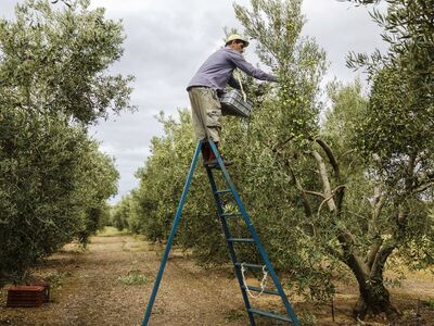 Εντός των επόμενων ημερών η ενεργοποίηση...