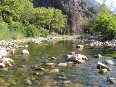Δημοκρατική Αριστερά: ανησυχία για τη δι...