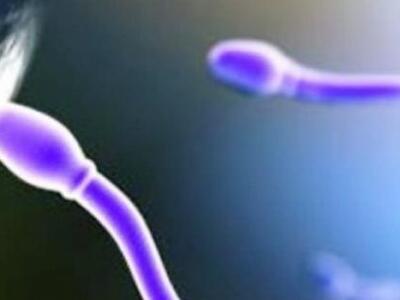 Δώρισε το σπέρμα του σε ομοφυλόφιλες και...