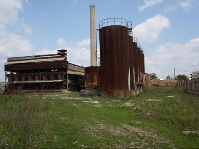 Πύργος: Αλεπούδες στο εργοστάσιο Ξυστρή! 