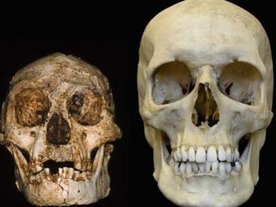 Κι όμως τα Χόμπιτ ..υπήρχαν!