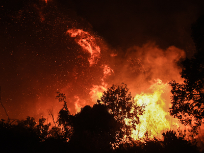 Φωτιά στην Πρέβεζα: Δύο τα πύρινα μέτωπα...