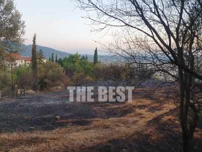 Πάτρα: Σε επιφυλακή τη νύχτα με τον φόβο...