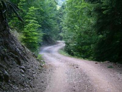 Προσοχή! Απαγορεύεται σήμερα να κινείστε...