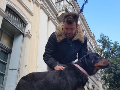 Κατέβηκαν με τα ζώα τους στο Δήμο της Πά...