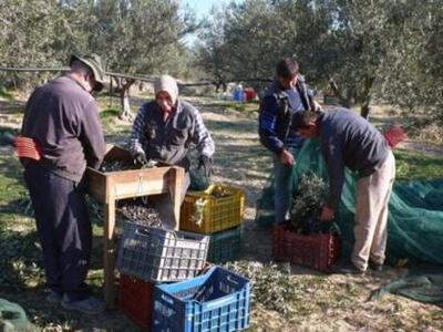 Εξοφλούν στους αγρότες το φόρο για το πετρέλαιο