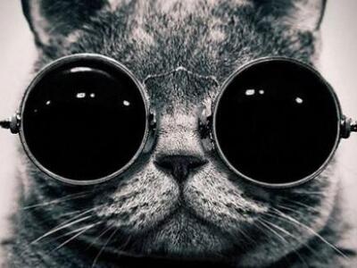 Οσο περισσότερα τα χρόνια εκπαίδευσης, τ...