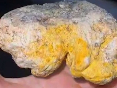 Σκύλος ανακαλύπτει σπάνιο πανάκριβο κεχριμπάρι