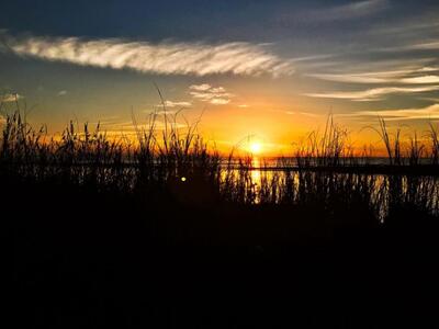Ενημέρωση για τους δασικούς χάρτες στο Σ...