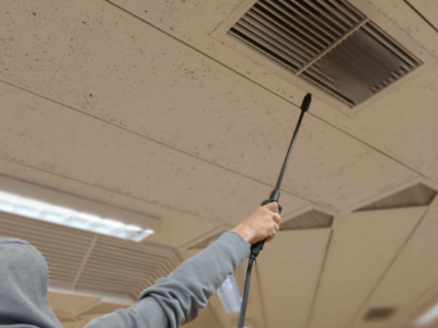 Ολοκληρώθηκε πρόγραμμα απετόμωσης στο Πα...