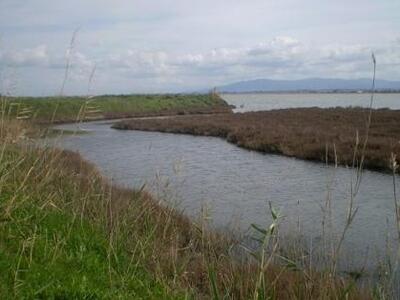 Λεχαινά: Ψάρευε παράνομα στη λιμνοθάλασσα Κοτυχίου