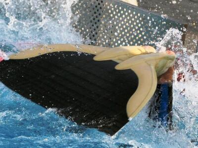 Τεχνική κολύμβηση: Νέο Παγκόσμιο Ρεκόρ Ν...