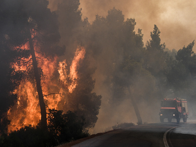 Πύρινη λαίλαπα στην Εύβοια - Σε ετοιμότη...