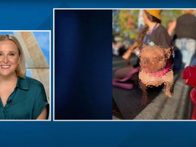 Petunia: Αυτός είναι ο «ασχημότερος σκύλ...