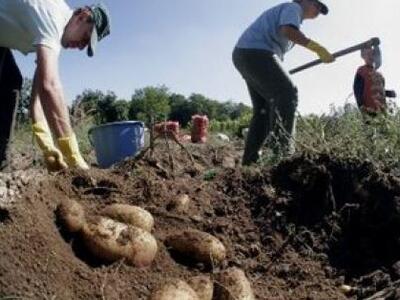 Δάνεια με χαμηλό επιδοτούμενο επιτόκιο σε αγρότες